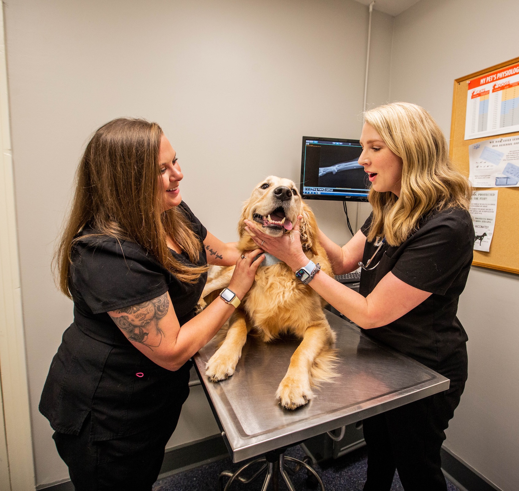Ridgetowne Animal Clinic 
