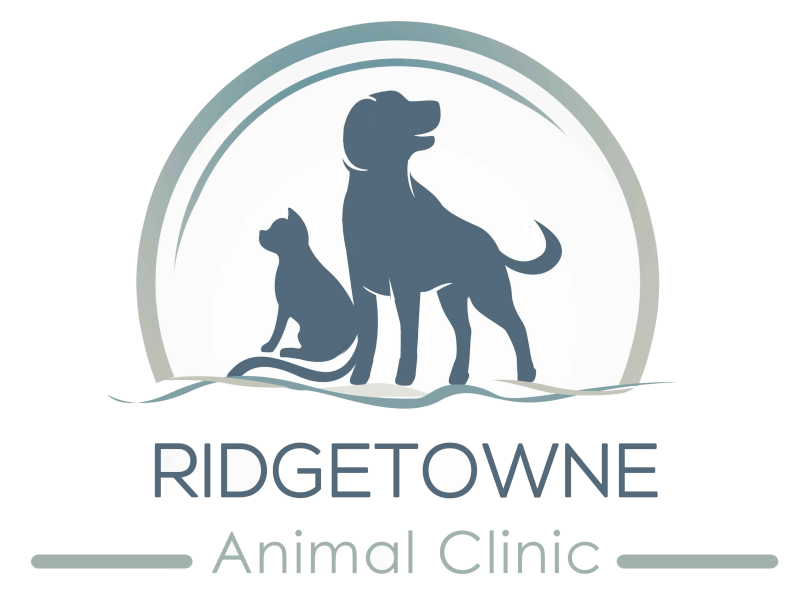 Ridgetowne Animal Clinic, . - Ridgeland Veterinarians