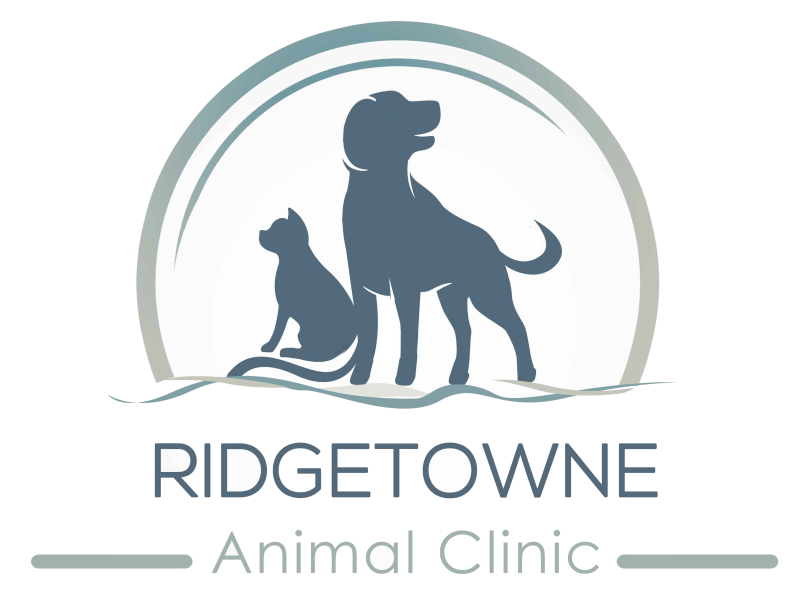 Ridgetowne Animal Clinic
